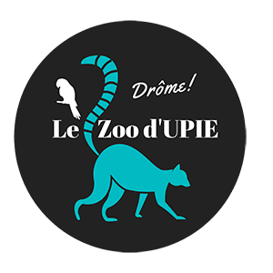 zoo upie.png (29 KB)